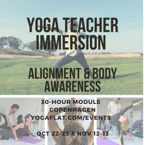 yoga teacher, alignment, teacher module