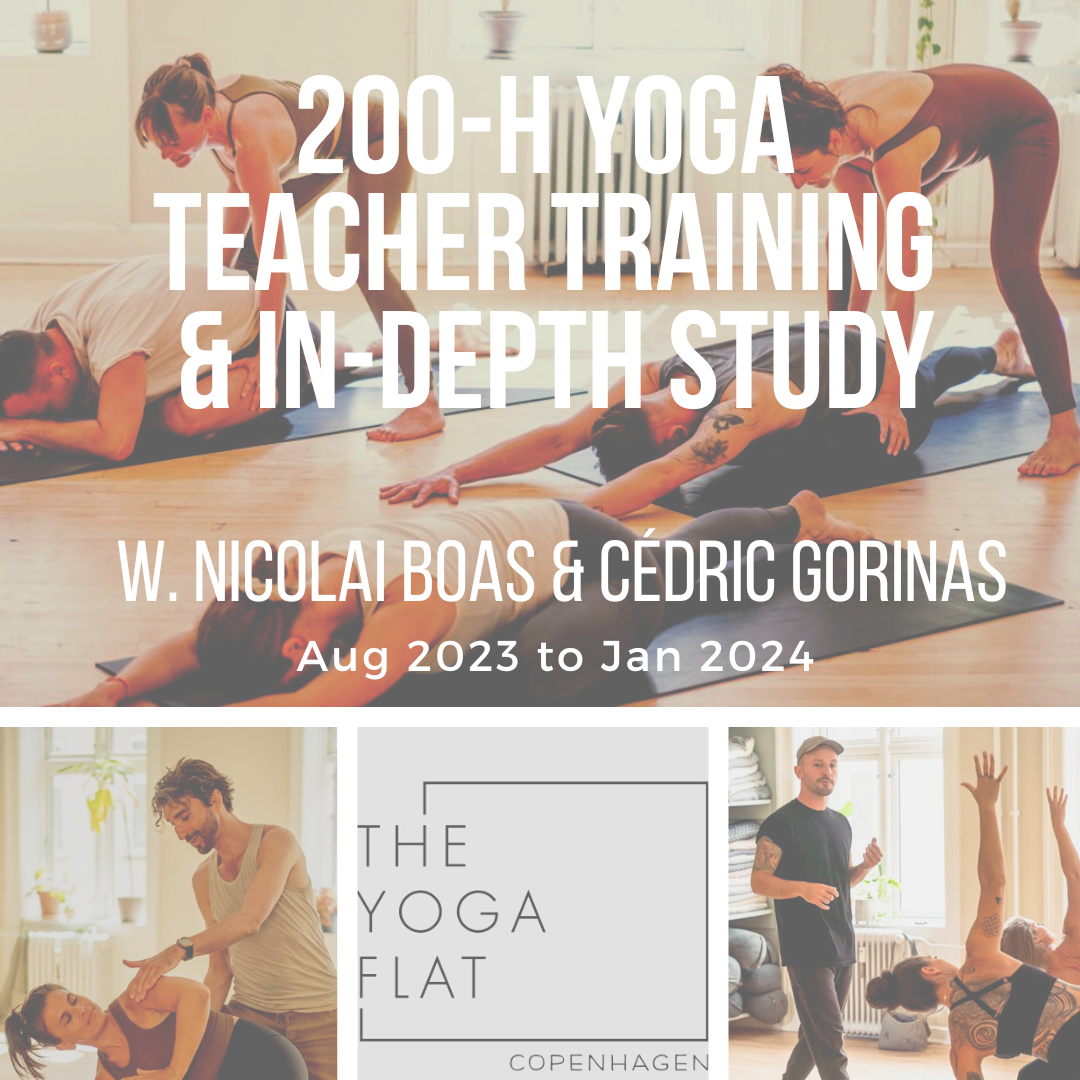 yoga teacher training Copenhagen